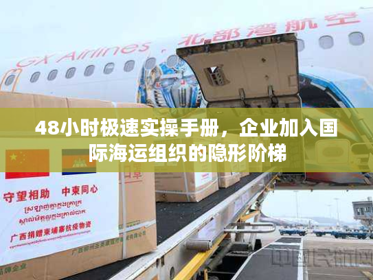 48小时极速实操手册，企业加入国际海运组织的隐形阶梯