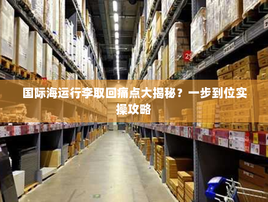 国际海运行李取回痛点大揭秘？一步到位实操攻略