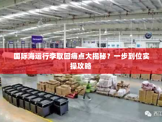 国际海运行李取回痛点大揭秘？一步到位实操攻略