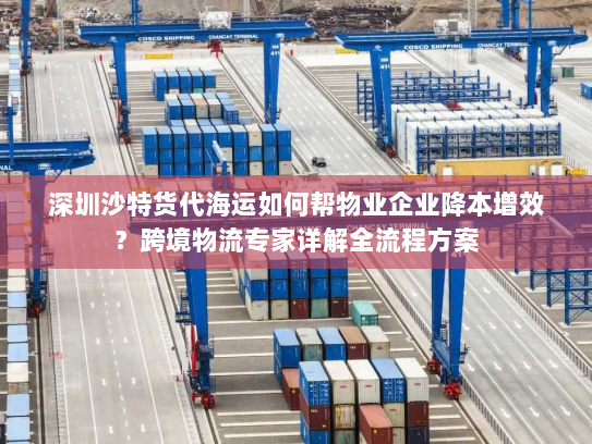 深圳沙特货代海运如何帮物业企业降本增效?跨境物流专家详解全流程方案 深圳沙特货代海运如何帮物业企业降本增效?跨境物流专家详解全流程方案