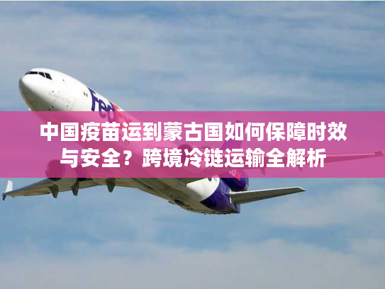 中国疫苗运到蒙古国如何保障时效与安全？跨境冷链运输全解析