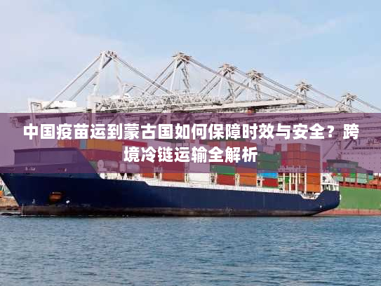 中国疫苗运到蒙古国如何保障时效与安全?跨境冷链运输全解析 中国疫苗运到蒙古国如何保障时效与安全?跨境冷链运输全解析