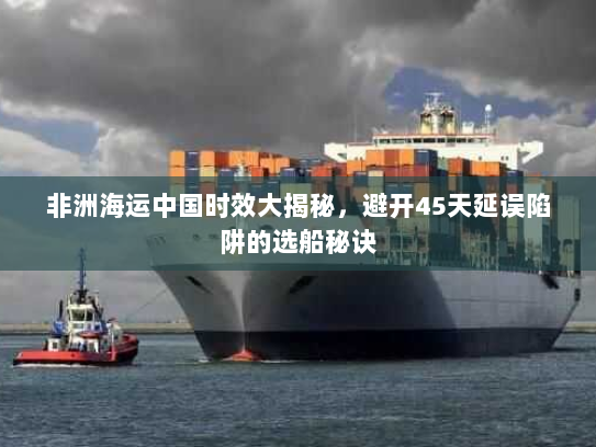 非洲海运中国时效大揭秘,避开45天延误陷阱的选船秘诀 非洲海运中国时效大揭秘,避开45天延误陷阱的选船秘诀