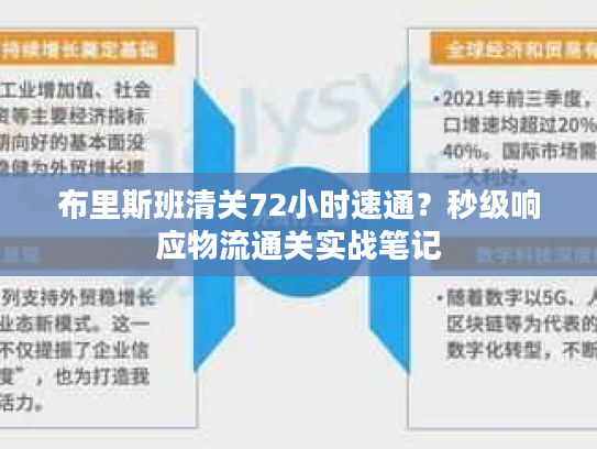 布里斯班清关72小时速通?秒级响应物流通关实战笔记 布里斯班清关72小时速通?秒级响应物流通关实战笔记