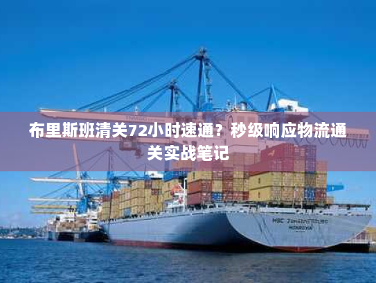 布里斯班清关72小时速通?秒级响应物流通关实战笔记 布里斯班清关72小时速通?秒级响应物流通关实战笔记