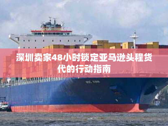 深圳卖家48小时锁定亚马逊头程货代的行动指南 深圳卖家48小时锁定亚马逊头程货代的行动指南