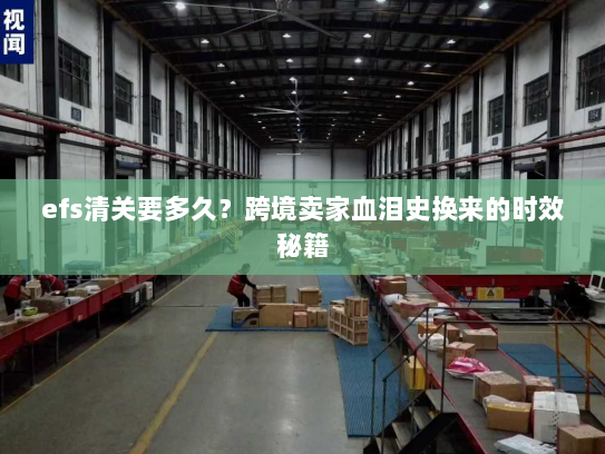 efs清关要多久?跨境卖家血泪史换来的时效秘籍 efs清关要多久?跨境卖家血泪史换来的时效秘籍
