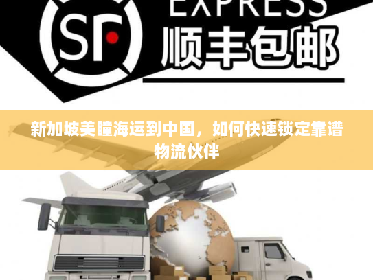 新加坡美瞳海运到中国,如何快速锁定靠谱物流伙伴 新加坡美瞳海运到中国,如何快速锁定靠谱物流伙伴