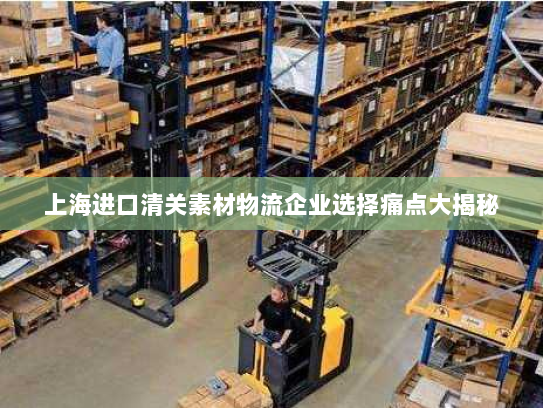 上海进口清关素材物流企业选择痛点大揭秘