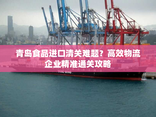 青岛食品进口清关难题？高效物流企业精准通关攻略