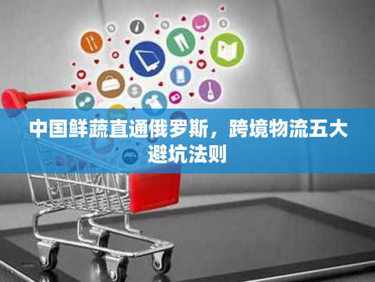 中国鲜蔬直通俄罗斯，跨境物流五大避坑法则