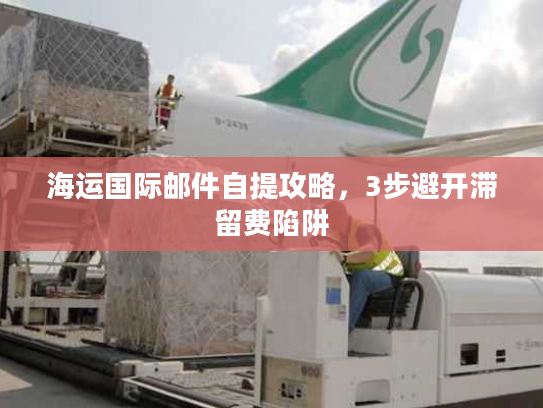 海运国际邮件自提攻略,3步避开滞留费陷阱 海运国际邮件自提攻略,3步避开滞留费陷阱