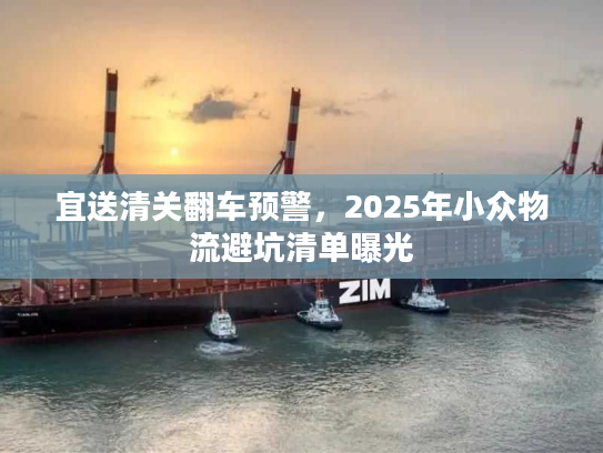宜送清关翻车预警,2025年小众物流避坑清单曝光 宜送清关翻车预警,2025年小众物流避坑清单曝光