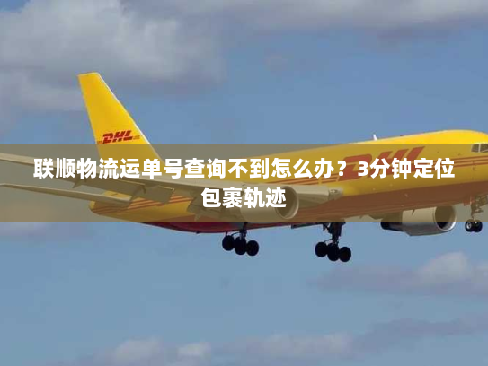 联顺物流运单号查询不到怎么办？3分钟定位包裹轨迹