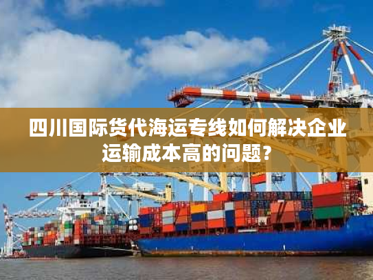 四川国际货代海运专线如何解决企业运输成本高的问题？