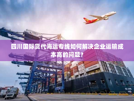 四川国际货代海运专线如何解决企业运输成本高的问题？
