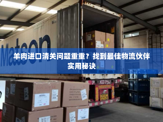 羊肉进口清关问题重重？找到最佳物流伙伴实用秘诀