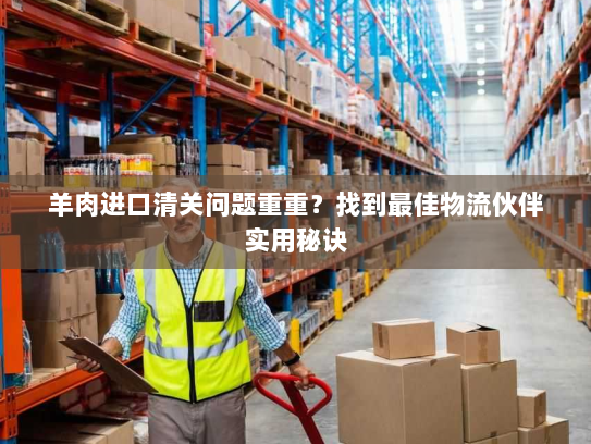 羊肉进口清关问题重重？找到最佳物流伙伴实用秘诀