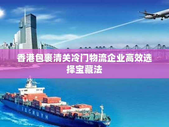 香港包裹清关冷门物流企业高效选择宝藏法