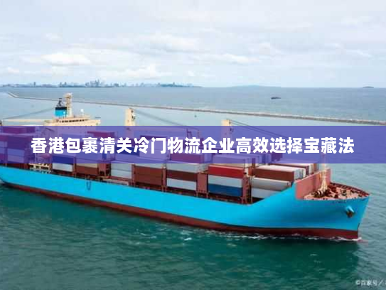 香港包裹清关冷门物流企业高效选择宝藏法 香港包裹清关冷门物流企业高效选择宝藏法