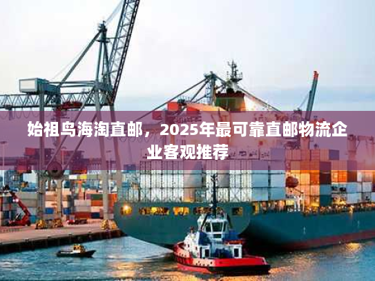 始祖鸟海淘直邮,2025年最可靠直邮物流企业客观推荐 始祖鸟海淘直邮,2025年最可靠直邮物流企业客观推荐