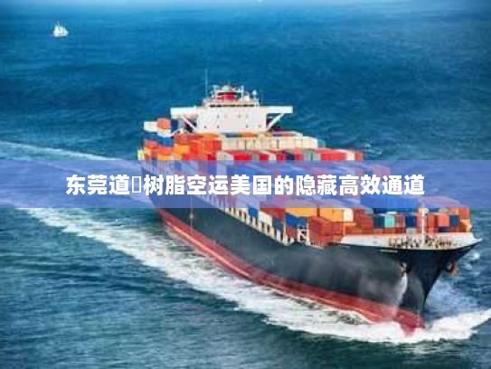 东莞道滘树脂空运美国的隐藏高效通道
