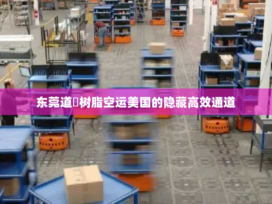 东莞道滘树脂空运美国的隐藏高效通道 东莞道滘树脂空运美国的隐藏高效通道