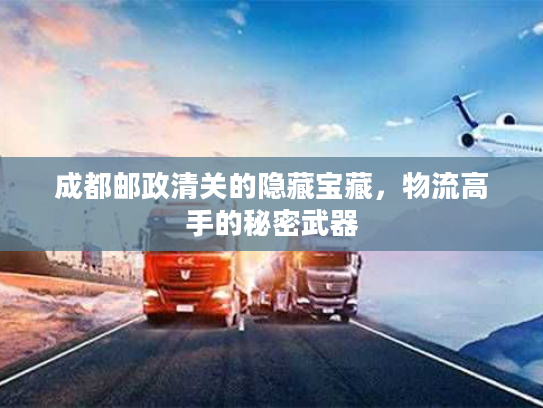 成都邮政清关的隐藏宝藏，物流高手的秘密武器