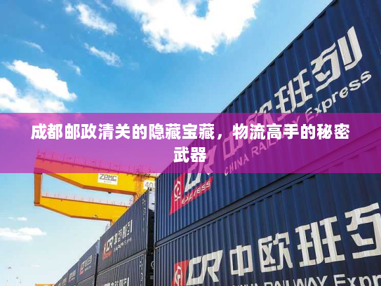 成都邮政清关的隐藏宝藏，物流高手的秘密武器