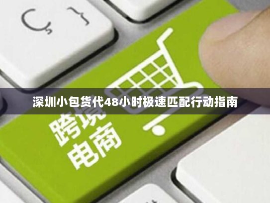 深圳小包货代48小时极速匹配行动指南