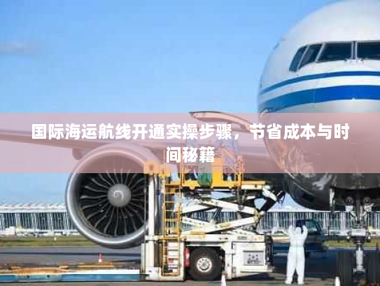 国际海运航线开通实操步骤,节省成本与时间秘籍 国际海运航线开通实操步骤,节省成本与时间秘籍