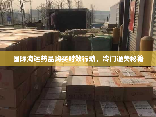 国际海运药品购买时效行动,冷门通关秘籍 国际海运药品购买时效行动,冷门通关秘籍