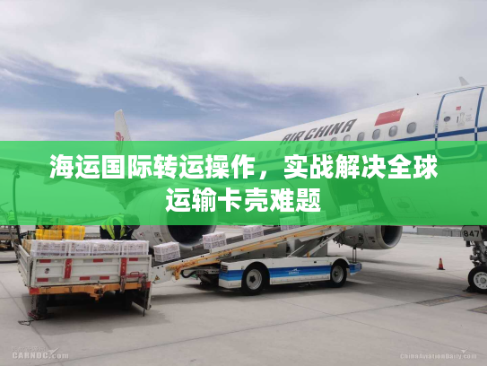海运国际转运操作，实战解决全球运输卡壳难题