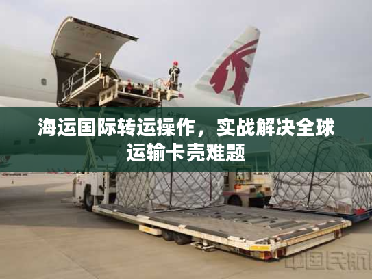 海运国际转运操作，实战解决全球运输卡壳难题