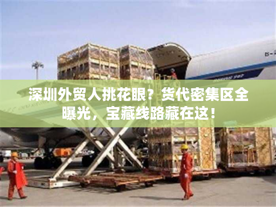 深圳外贸人挑花眼？货代密集区全曝光，宝藏线路藏在这！