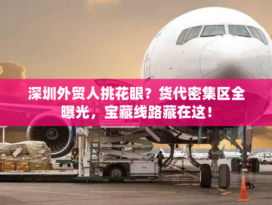 深圳外贸人挑花眼？货代密集区全曝光，宝藏线路藏在这！