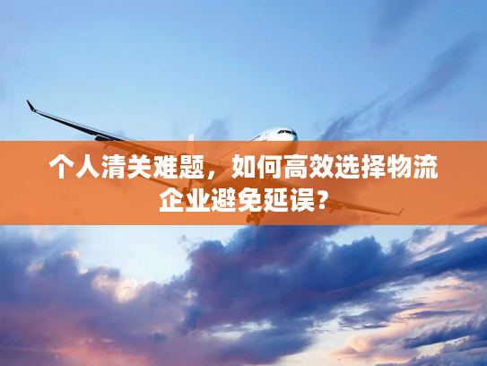 个人清关难题，如何高效选择物流企业避免延误？
