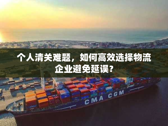 个人清关难题，如何高效选择物流企业避免延误？