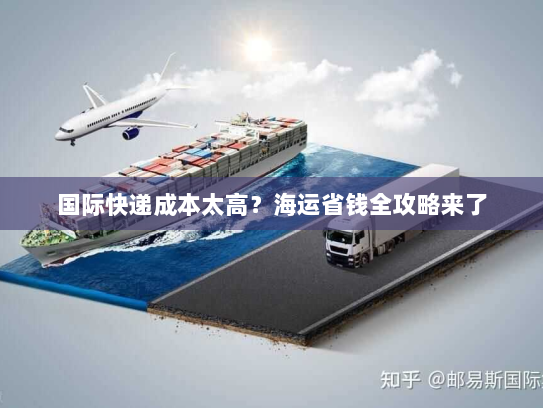 国际快递成本太高？海运省钱全攻略来了