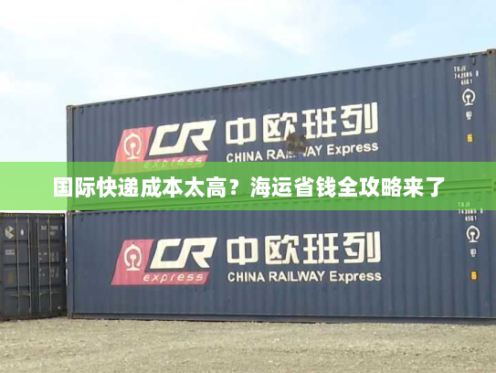 国际快递成本太高？海运省钱全攻略来了