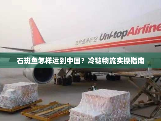 石斑鱼怎样运到中国?冷链物流实操指南 石斑鱼怎样运到中国?冷链物流实操指南