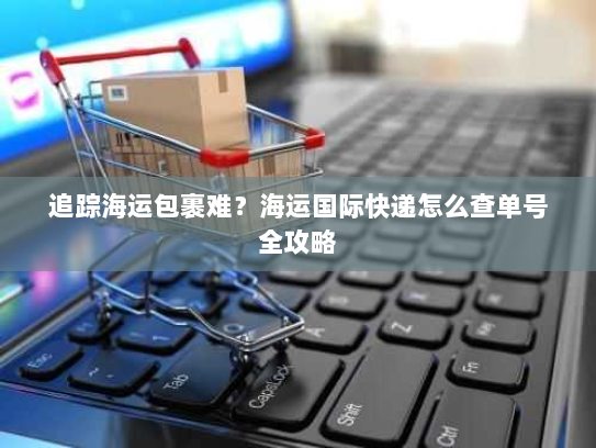 追踪海运包裹难?海运国际快递怎么查单号全攻略 追踪海运包裹难?海运国际快递怎么查单号全攻略