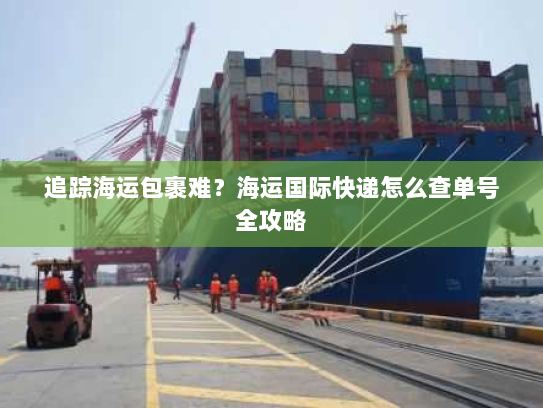 追踪海运包裹难?海运国际快递怎么查单号全攻略 追踪海运包裹难?海运国际快递怎么查单号全攻略
