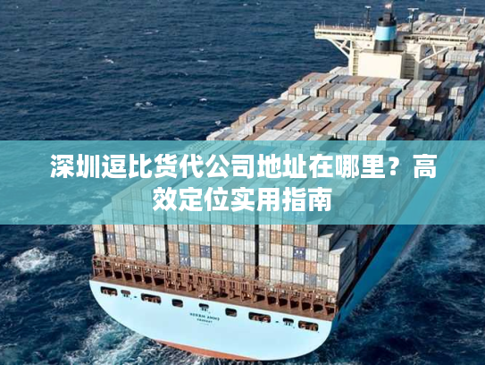 深圳逗比货代公司地址在哪里？高效定位实用指南