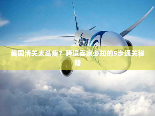 美国清关太头疼？跨境卖家必知的5步通关秘籍