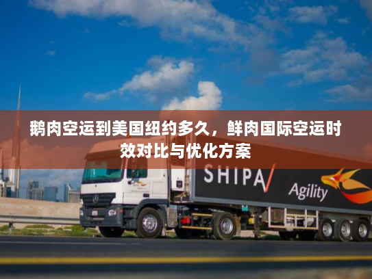 鹅肉空运到美国纽约多久，鲜肉国际空运时效对比与优化方案