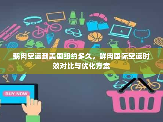 鹅肉空运到美国纽约多久，鲜肉国际空运时效对比与优化方案
