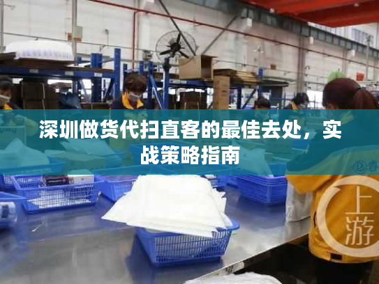 深圳做货代扫直客的最佳去处,实战策略指南 深圳做货代扫直客的最佳去处,实战策略指南