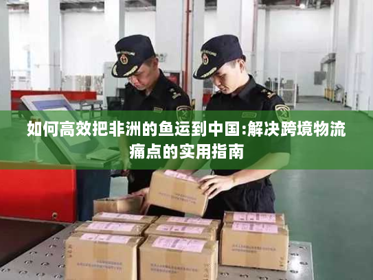 如何高效把非洲的鱼运到中国:解决跨境物流痛点的实用指南 如何高效把非洲的鱼运到中国:解决跨境物流痛点的实用指南