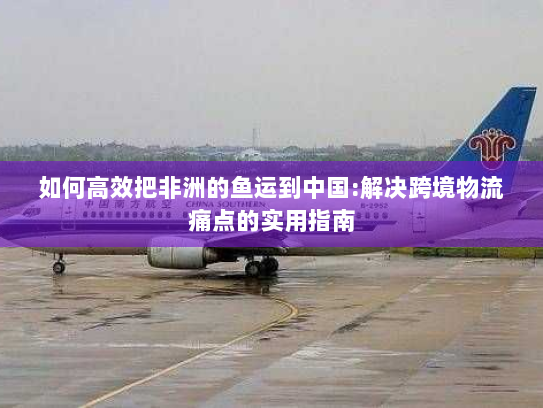 如何高效把非洲的鱼运到中国:解决跨境物流痛点的实用指南 如何高效把非洲的鱼运到中国:解决跨境物流痛点的实用指南